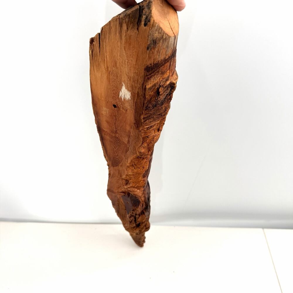 Vintage Hand Carved Folk Art Tree Bearded Man Face Tree Spirit - 20" Long - Picture 9 of 9